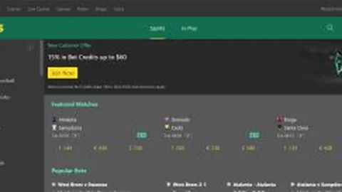 国企联袂闪耀，广州豹队备战足球盛宴