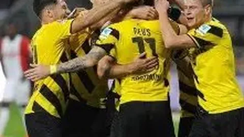 BB贝博艾弗森体育