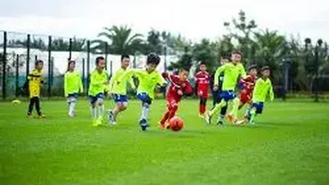 BB贝博艾弗森体育